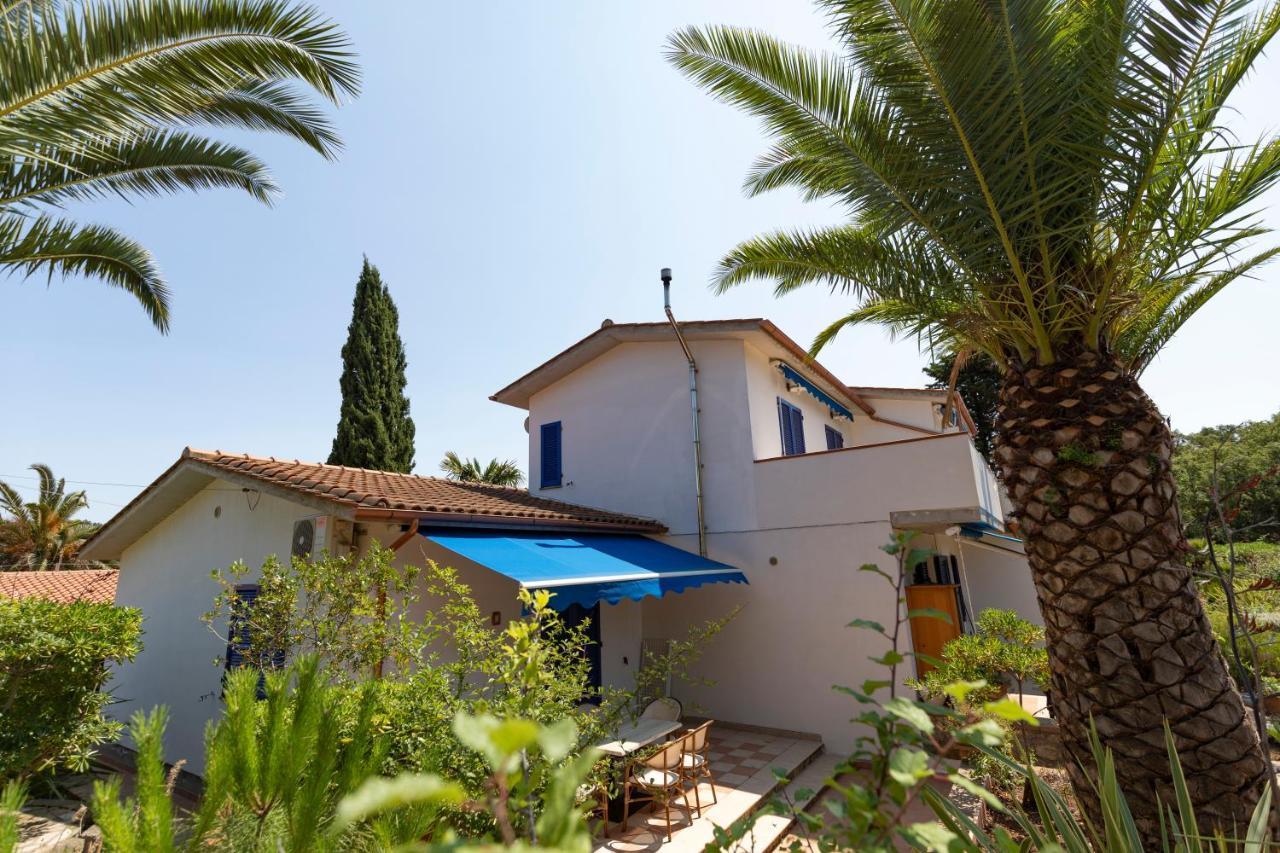 Le Palme